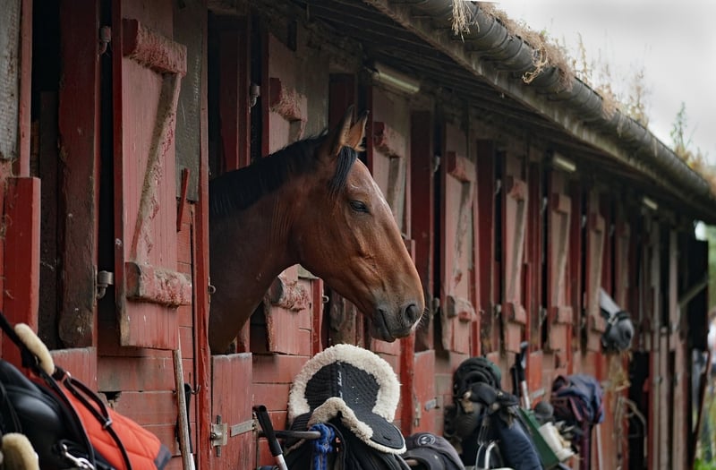 Unicorn Stables